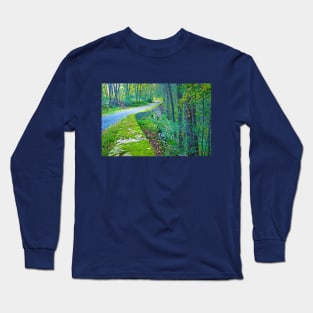 Road Through Autumn Woods Long Sleeve T-Shirt